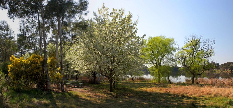 picnic area 1.jpg